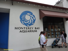 Monterey-5